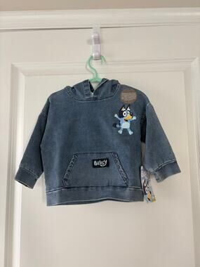 Bluey Toddler Boy Denim Washed Graphic Hoodie, Size 12M